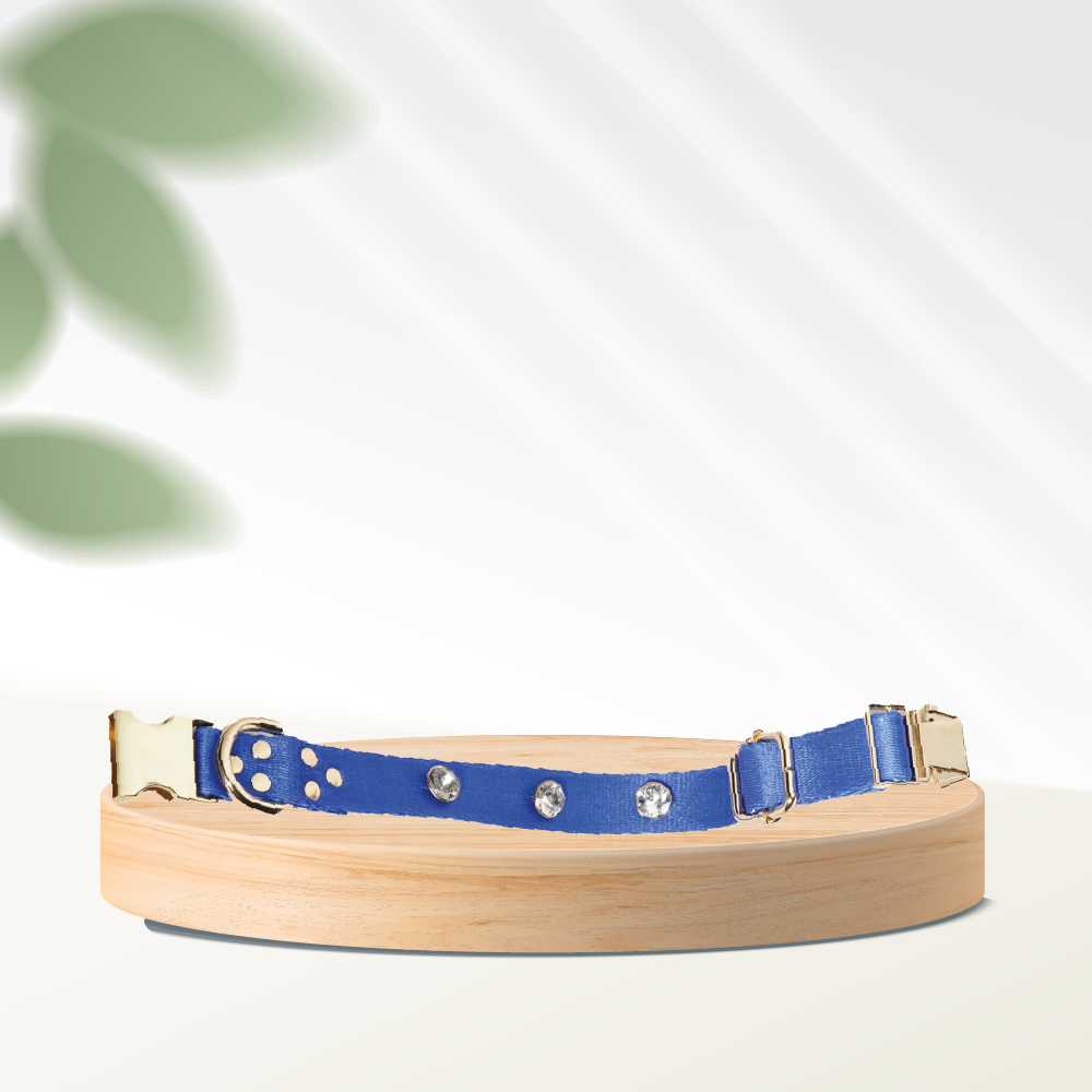 Diamond-Blue Dog Collar