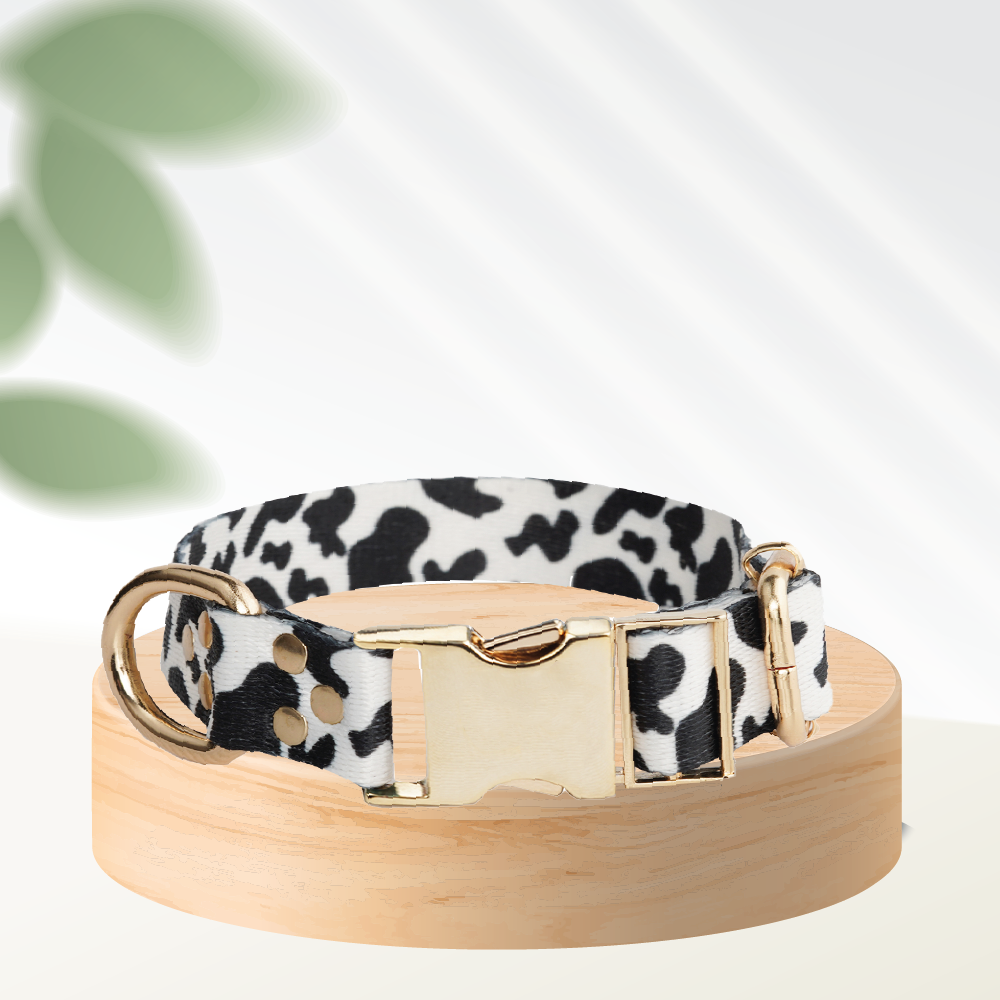 White Leo Dog Collar